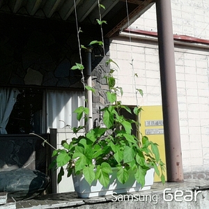 20150805141818645.jpg