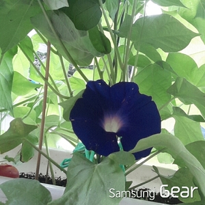 20150805142138439.jpg