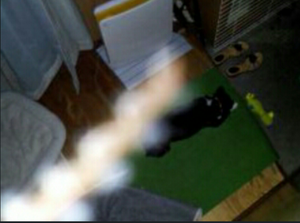 20150806050216702.png