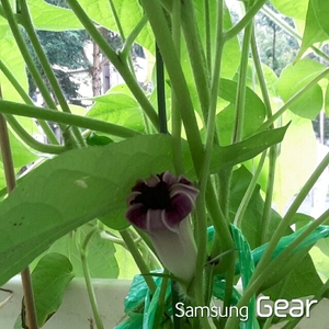 20150807221017626.jpg