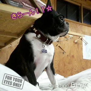 20150825133135958.jpg